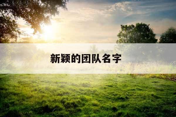 新颖的团队名字  新颖的团队名字