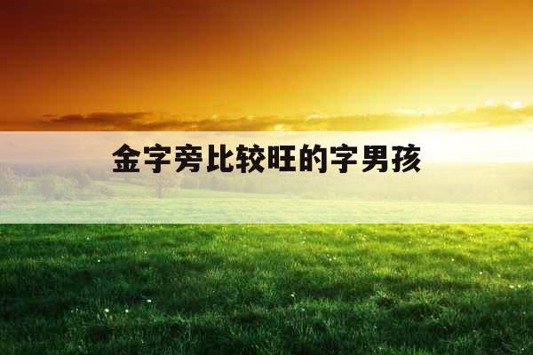 金字旁比较旺的字男孩 
