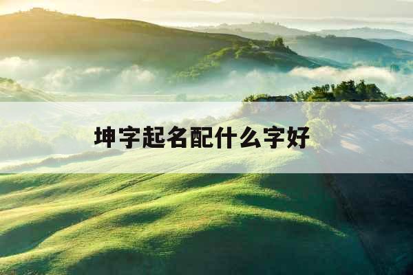 坤字起名配什么字好 