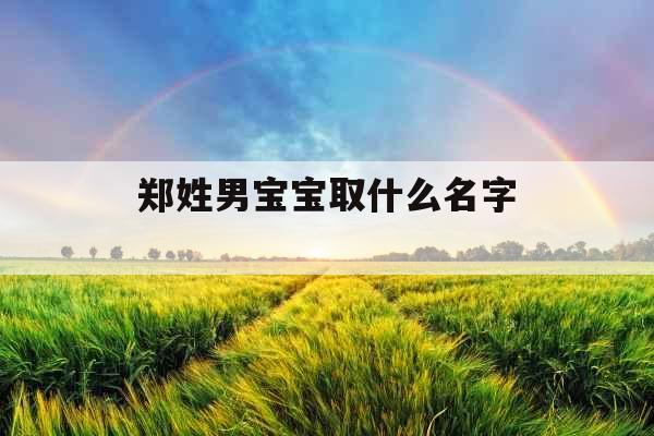 郑姓男宝宝取什么名字 