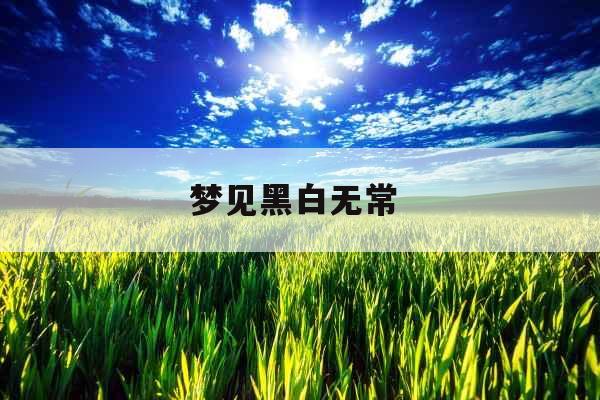 梦见黑白无常 