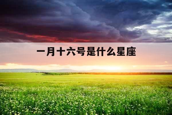 一月十六号是什么星座 