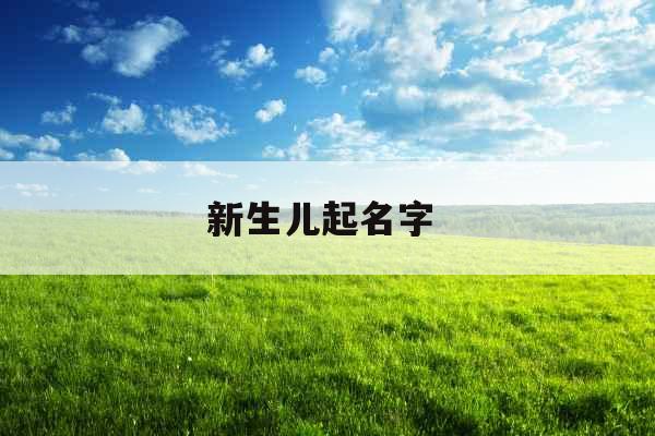 新生儿起名字 
