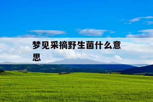 梦见采摘野生菌什么意思 