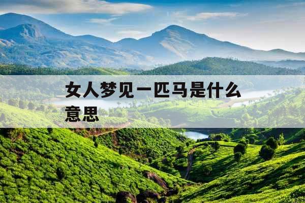 女人梦见一匹马是什么意思 