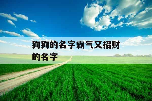 狗狗的名字霸气又招财的名字 