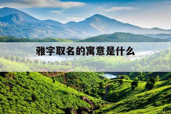 雅字取名的寓意是什么 