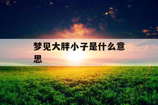 梦见大胖小子是什么意思  梦见大胖小子是什么意思