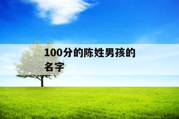 100分的陈姓男孩的名字 