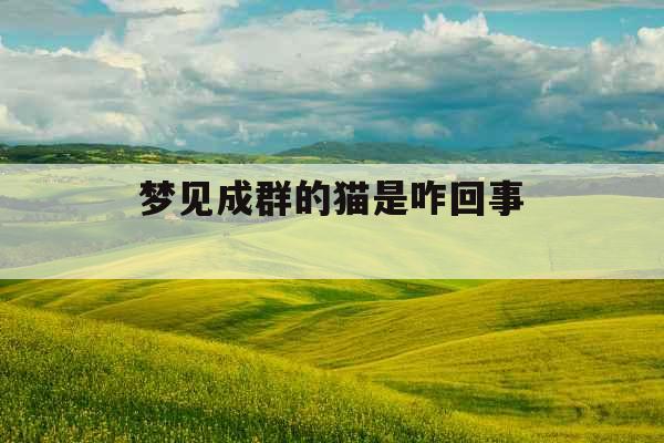 梦见成群的猫是咋回事 