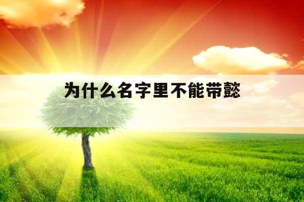 为什么名字里不能带懿  为什么名字里不能带懿