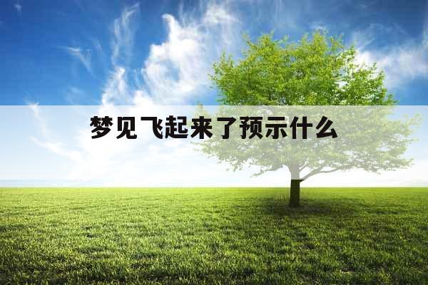 梦见飞起来了预示什么 