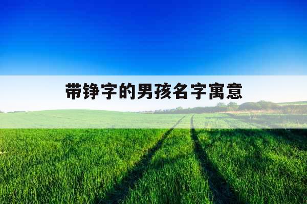 带铮字的男孩名字寓意 