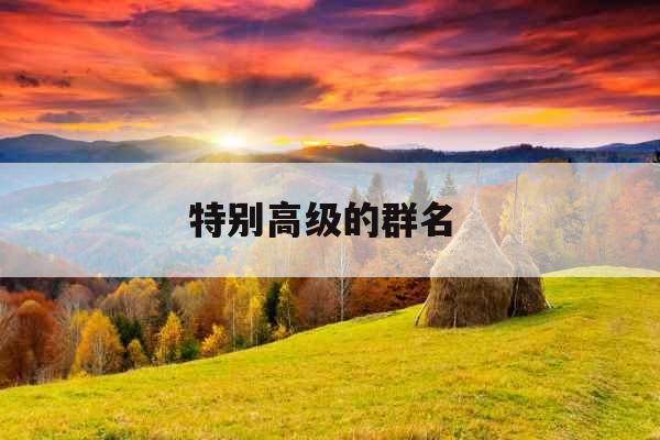 特别高级的群名 