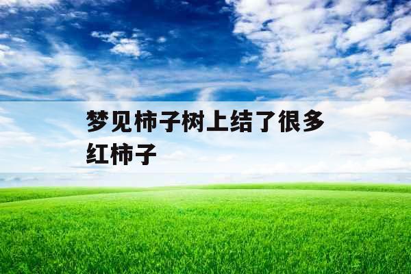 梦见柿子树上结了很多红柿子 梦见柿子树上结了很多红柿子