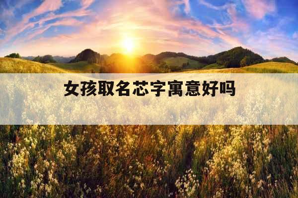 女孩取名芯字寓意好吗 