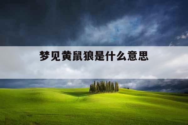 梦见黄鼠狼是什么意思 