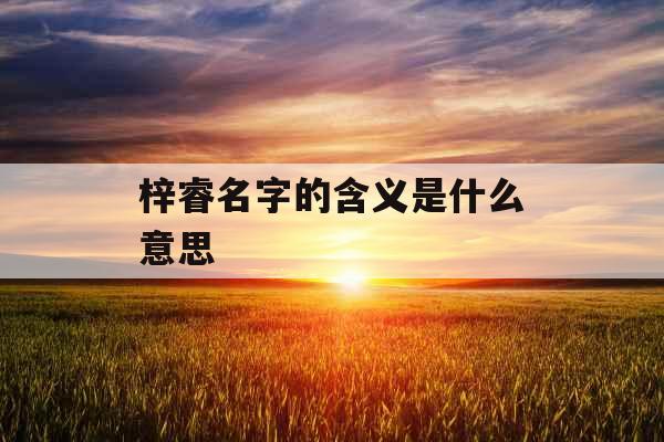 梓睿名字的含义是什么意思 梓睿名字的含义是什么意思