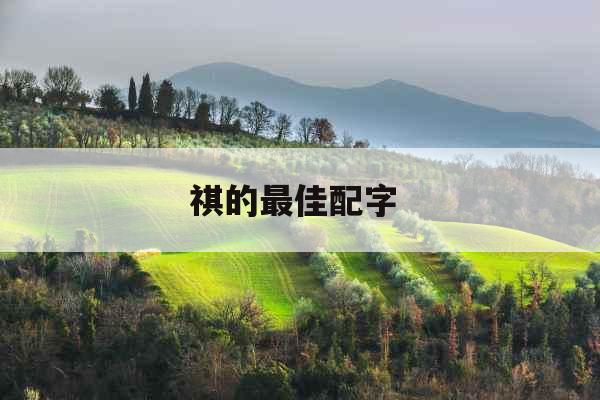 祺的最佳配字 祺的最佳配字
