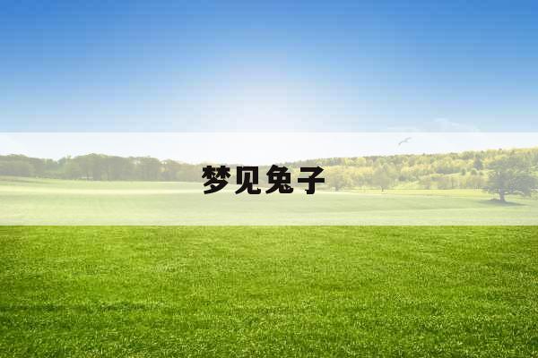 梦见兔子 梦见兔子