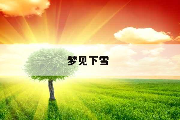 梦见下雪 