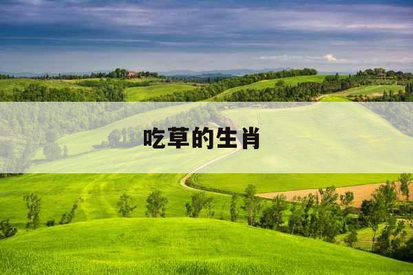 吃草的生肖