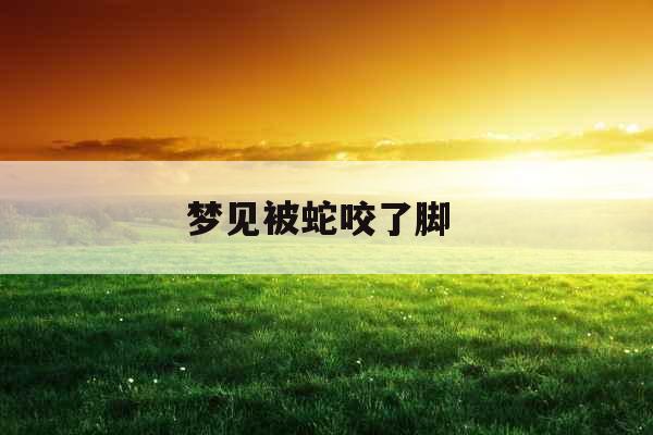 梦见被蛇咬了脚 梦见被蛇咬了脚