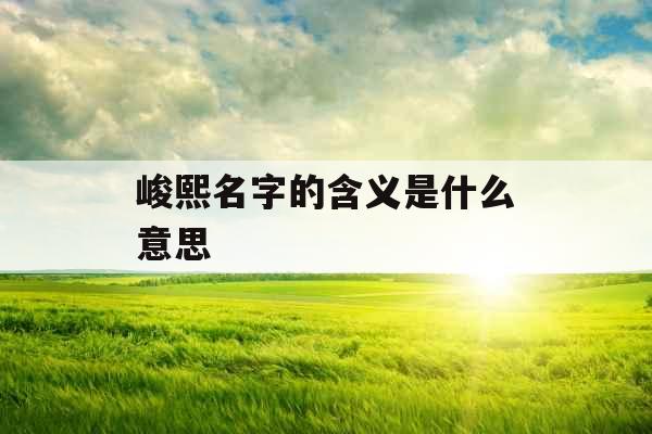 峻熙名字的含义是什么意思 