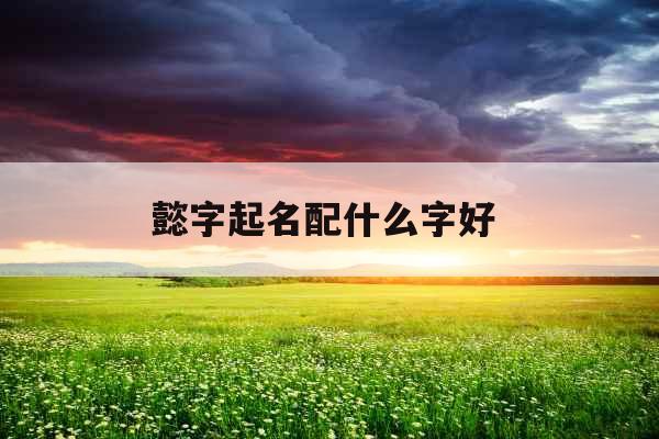 懿字起名配什么字好 