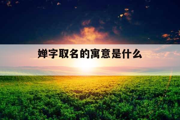 婵字取名的寓意是什么  婵字取名的寓意是什么