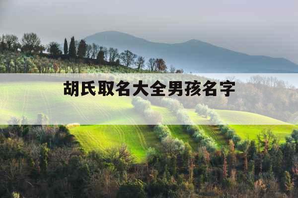 胡氏取名大全男孩名字 