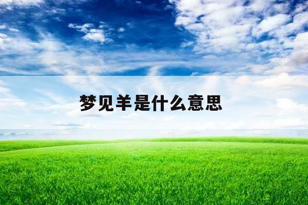 梦见羊是什么意思 