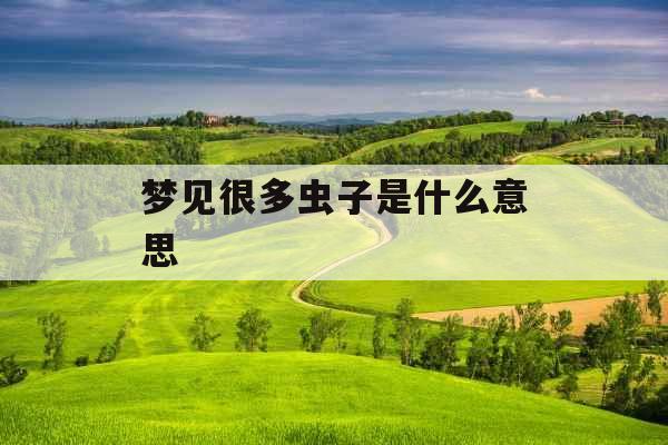 梦见很多虫子是什么意思 