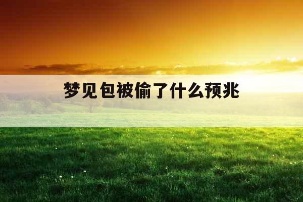 梦见包被偷了什么预兆 