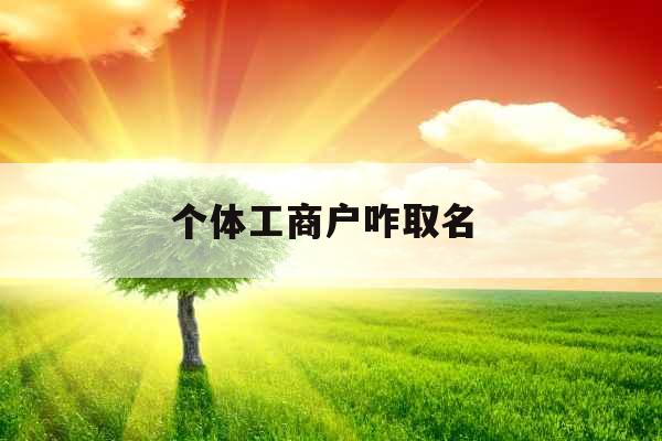 个体工商户咋取名 