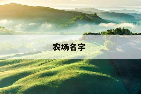 农场名字  农场名字