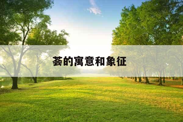 荟的寓意和象征 