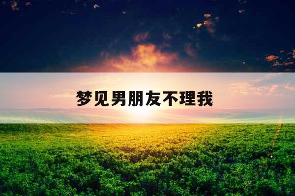 梦见男朋友不理我  梦见男朋友不理我