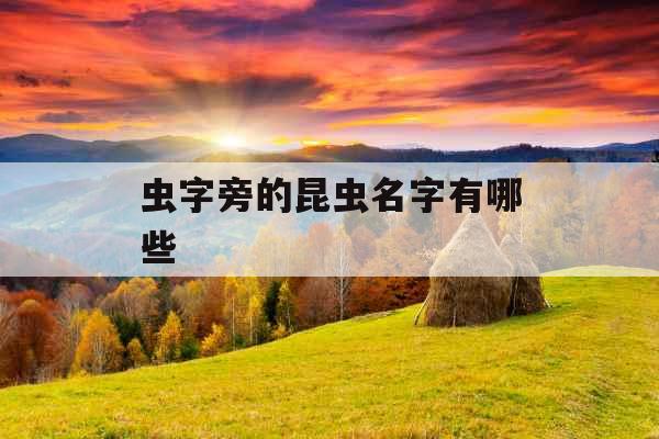 虫字旁的昆虫名字有哪些 