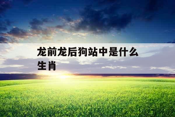 龙前龙后狗站中是什么生肖 