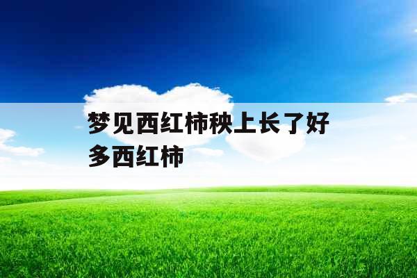 梦见西红柿秧上长了好多西红柿 