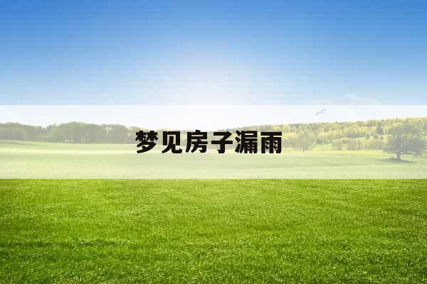 梦见房子漏雨 