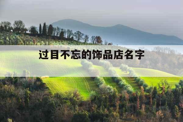 过目不忘的饰品店名字 