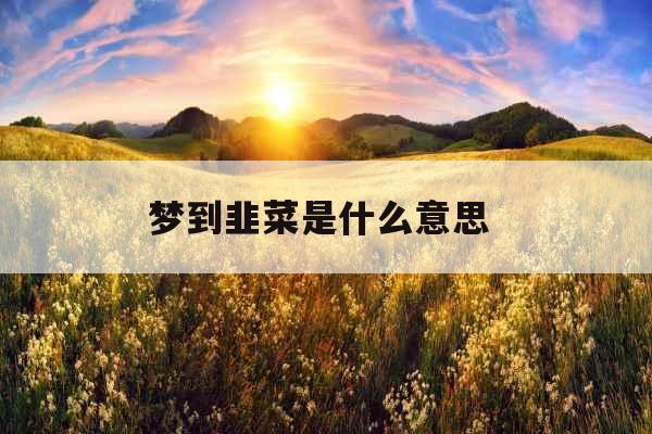 梦到韭菜是什么意思 