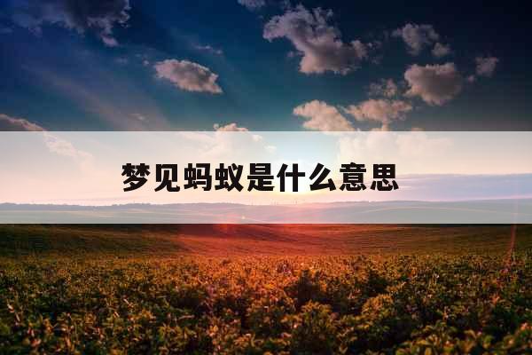 梦见蚂蚁是什么意思 