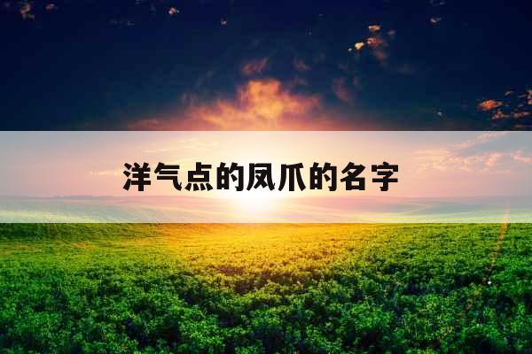 洋气点的凤爪的名字 