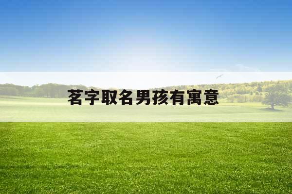 茗字取名男孩有寓意
