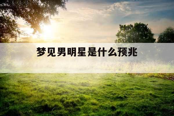 梦见男明星是什么预兆 梦见男明星是什么预兆