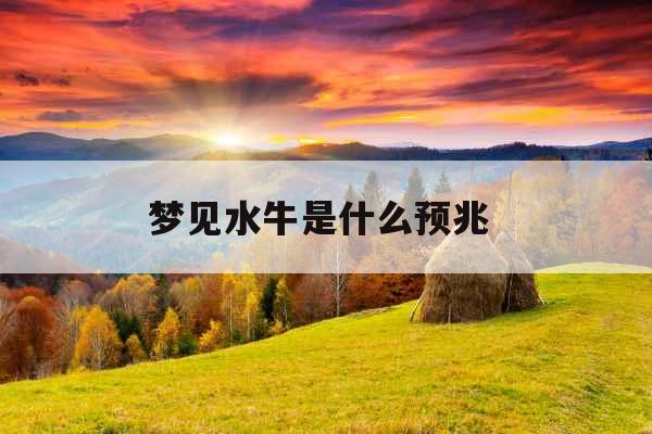 梦见水牛是什么预兆 