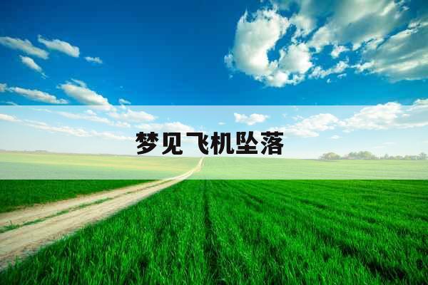 梦见飞机坠落